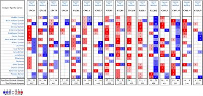 Identification of Therapeutic Targets and Prognostic Biomarkers Among CXC Chemokines in the Renal Cell Carcinoma Microenvironment